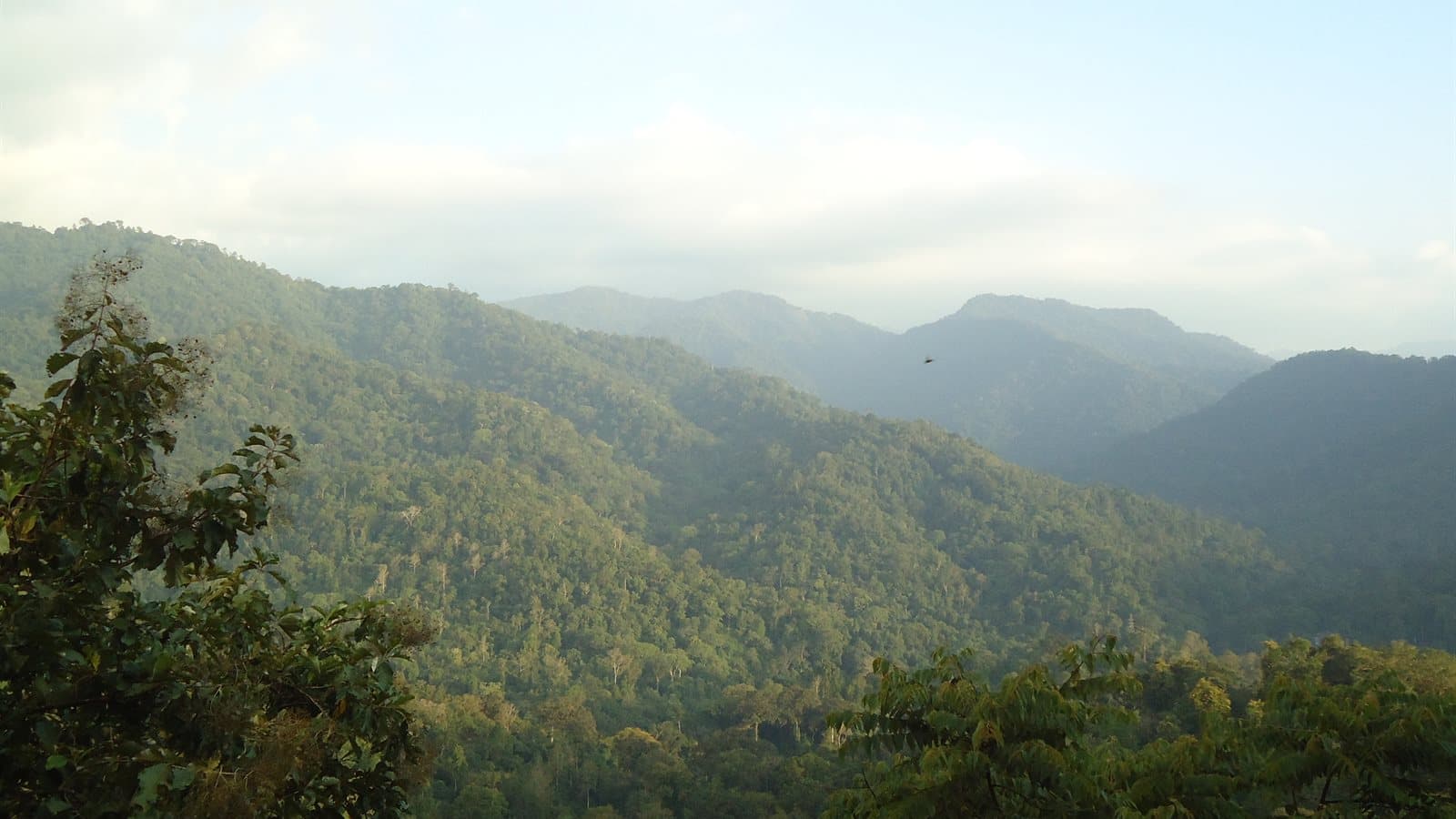 Sabarimala Ayyappa